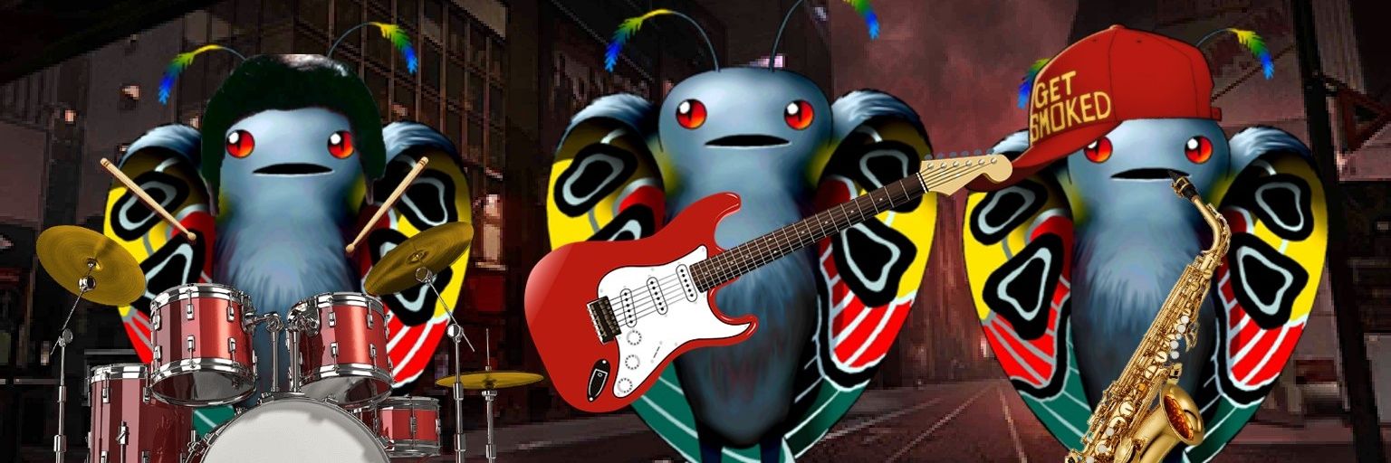 Moth|SolidTips banner