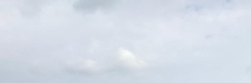 nilttyfsbms's profile banner image