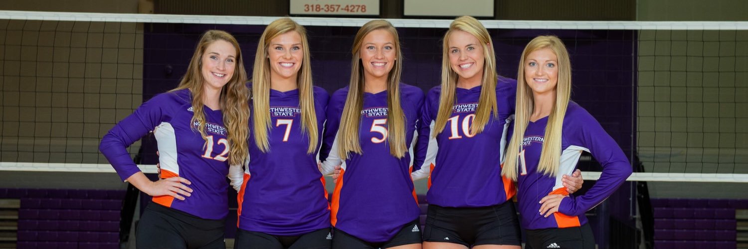 NSUDemonsVB5's profile banner image