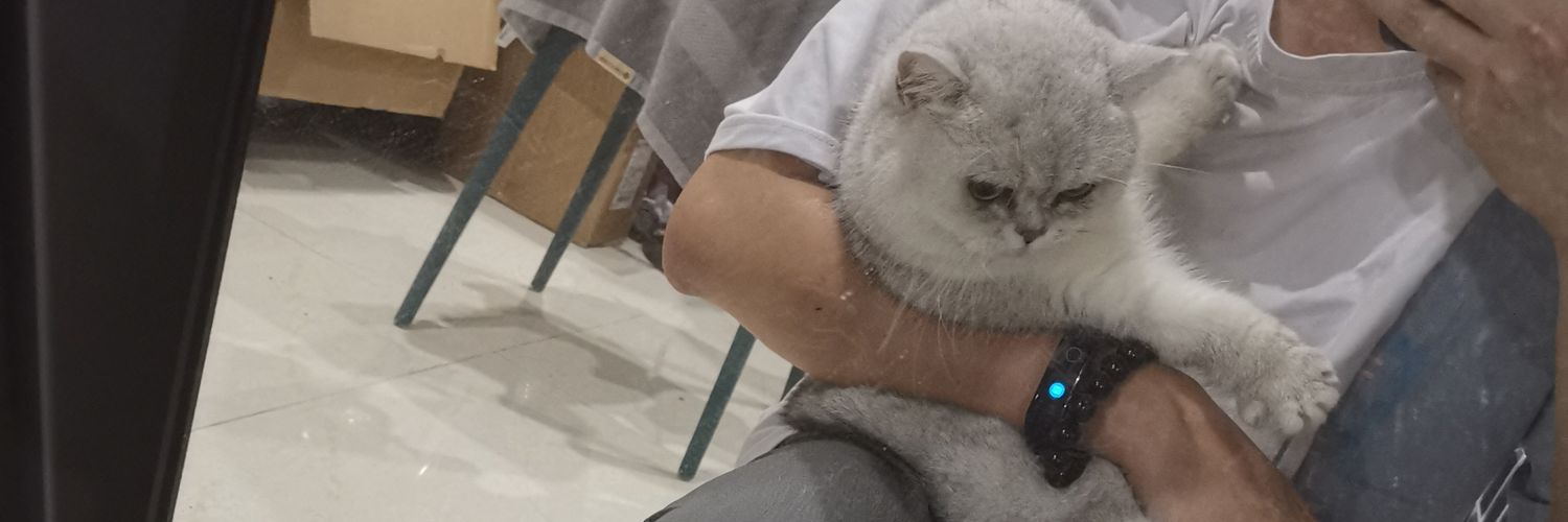 Alvin_facai's profile banner image