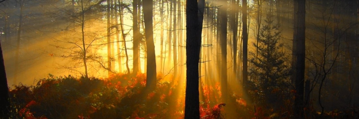 FredBurkert's profile banner image