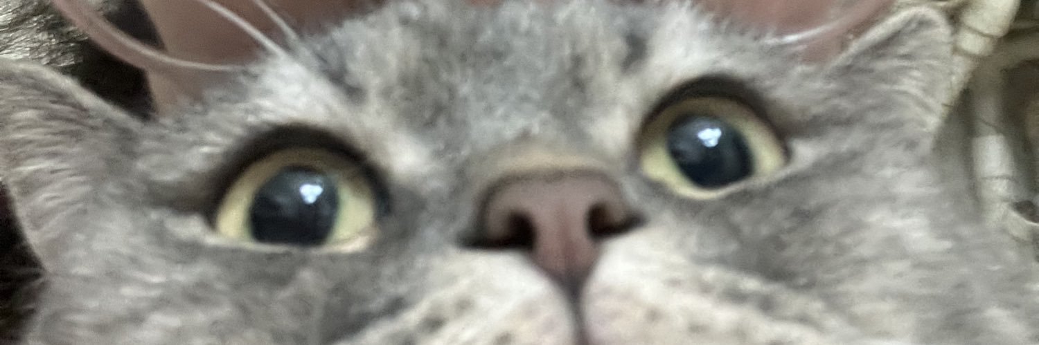 mrvvszgn's profile banner image