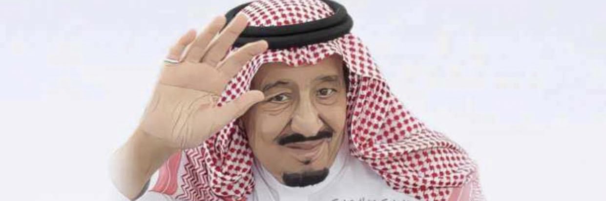 Mefresosaimi's profile banner image