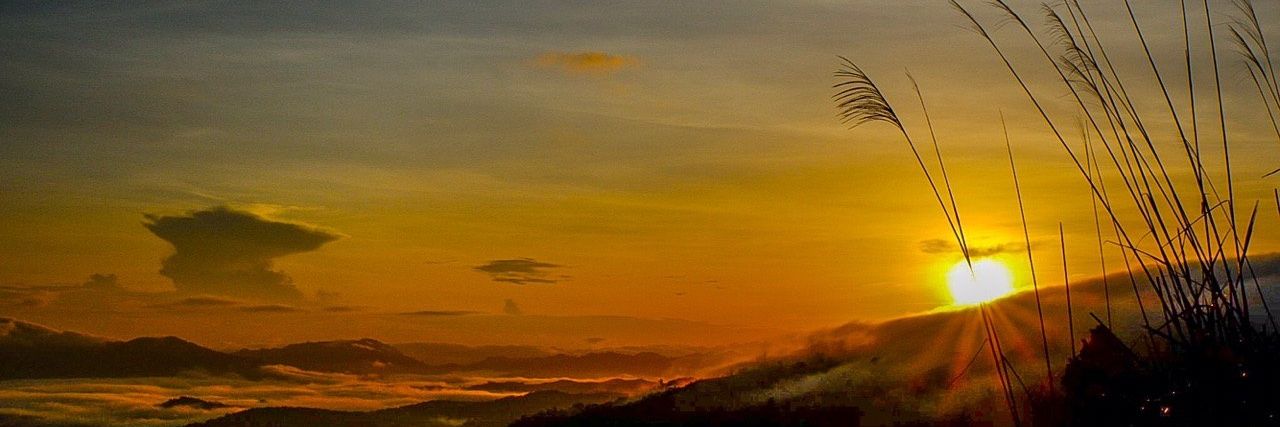 wawarashid's profile banner image