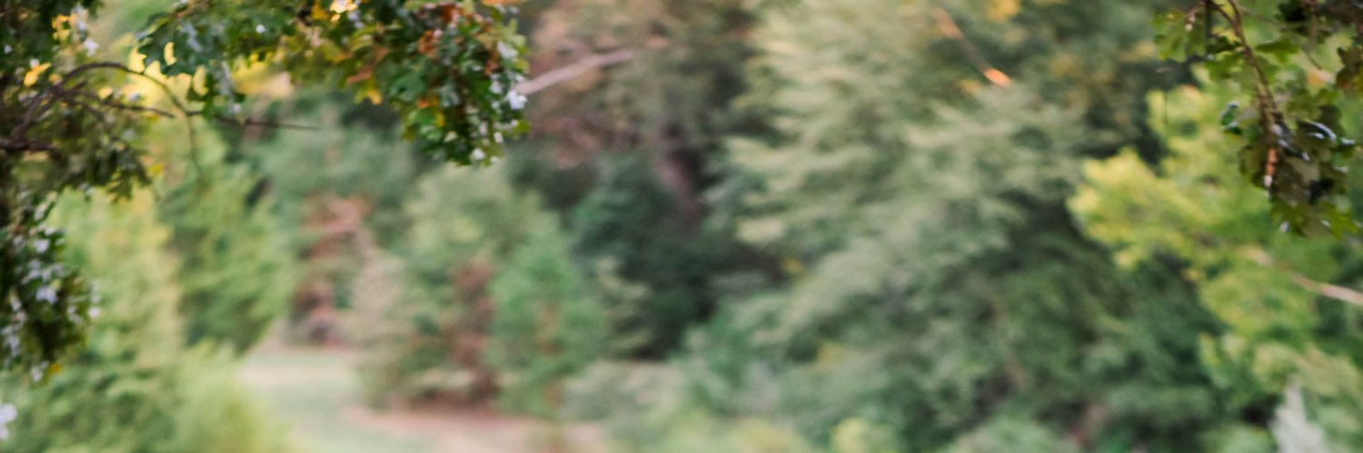 ripley_william's profile banner image