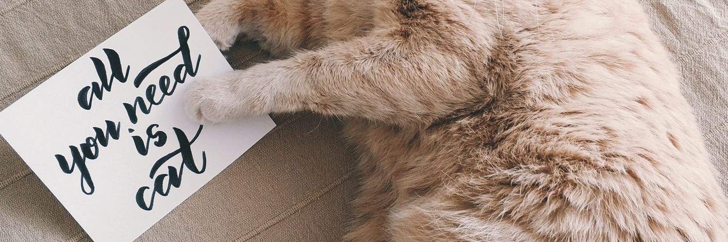 HarrySusetyo's profile banner image