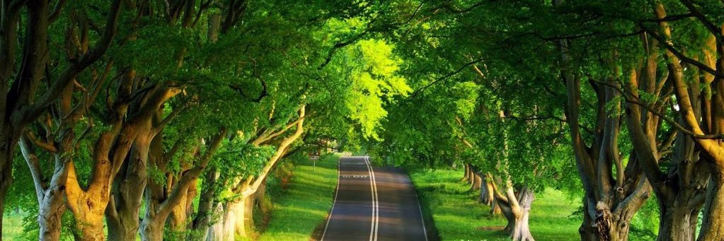 Krishna59413437's profile banner image