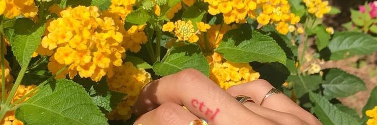 _S2_vely's profile banner image