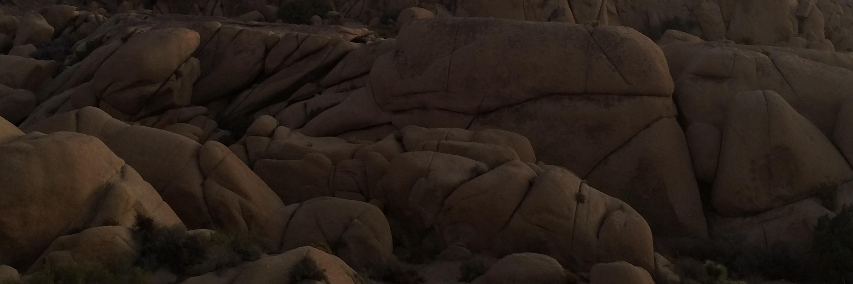 dandonovan99's profile banner image