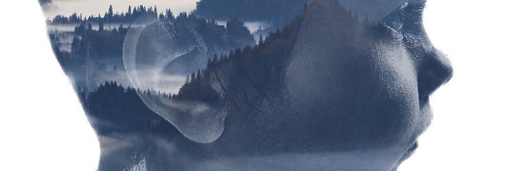 FiestaColette's profile banner image