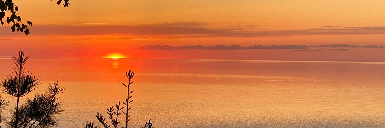 LetsGoNemo's profile banner image