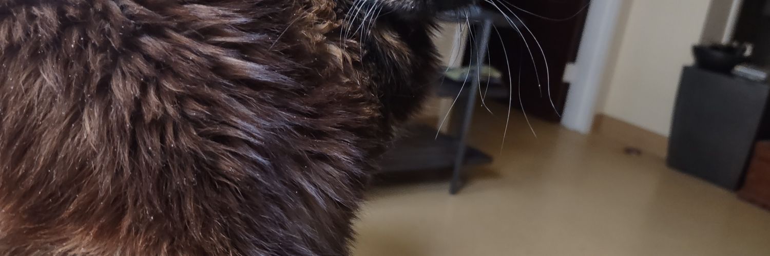 JPrebell's profile banner image