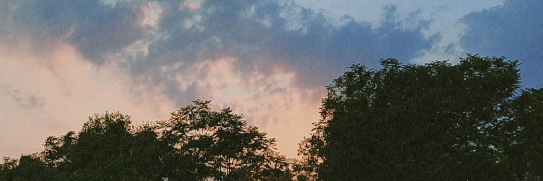 sheheredil's profile banner image