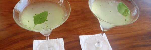 writerdude Profile Banner