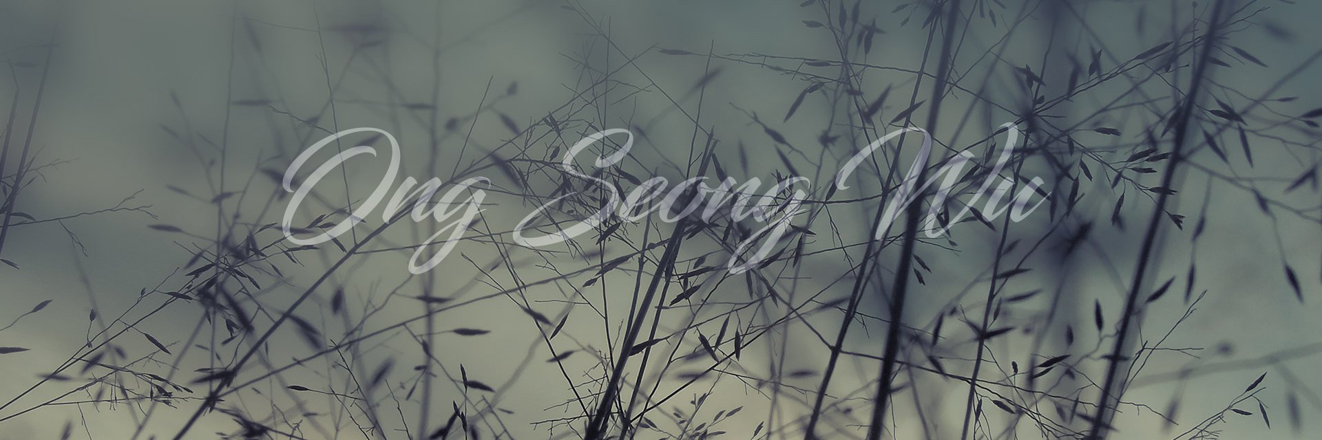LemonNUNA_'s profile banner image