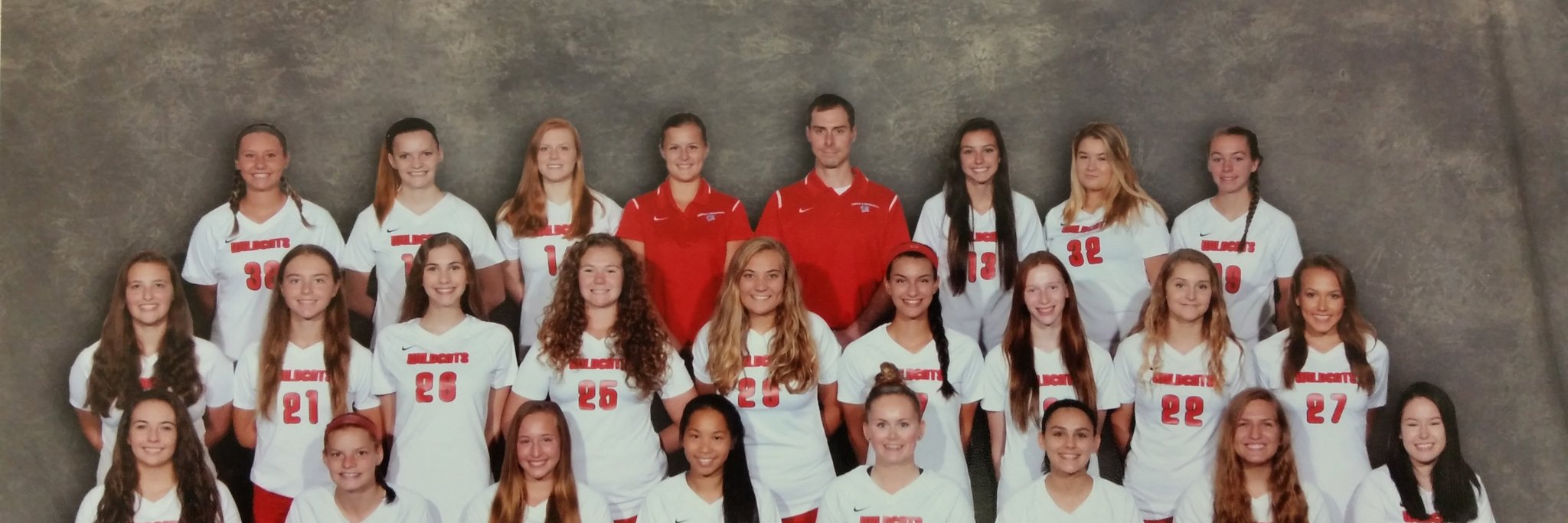OJR Volleyball banner