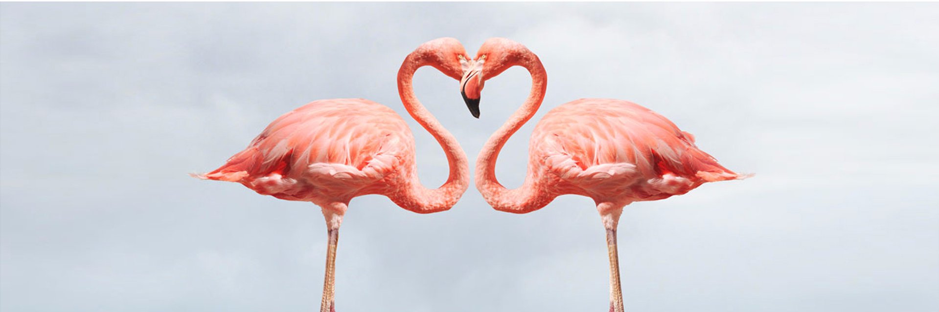 kimderkx's profile banner image