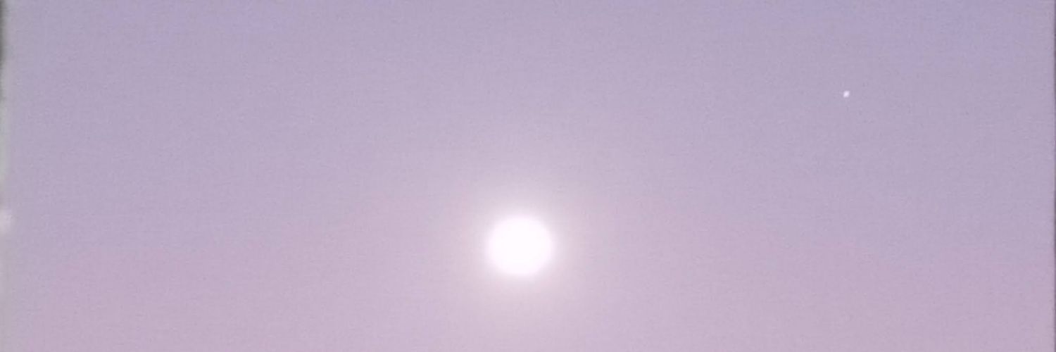 aracelis475's profile banner image