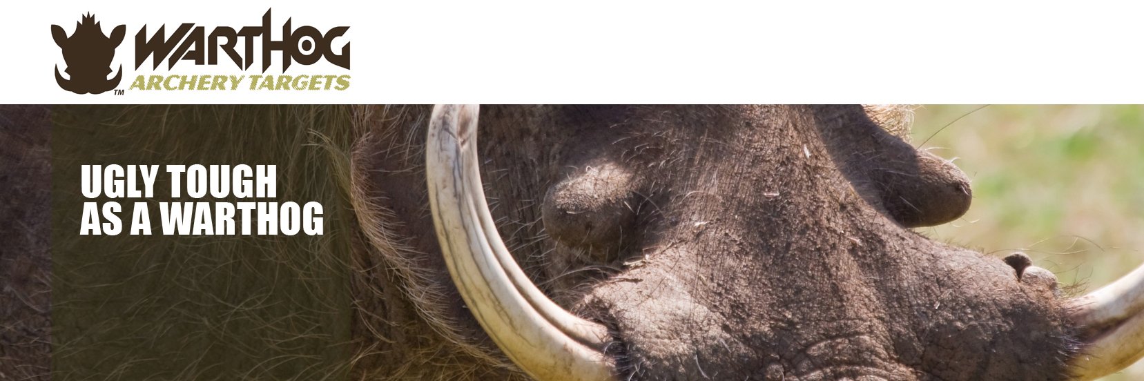 WarthogArchery's profile banner image