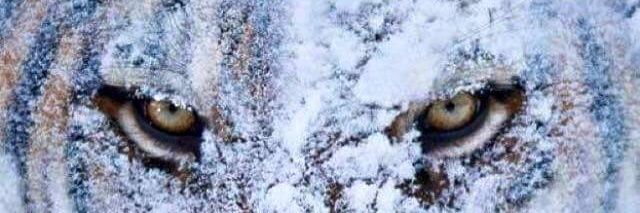 grerick_'s profile banner image