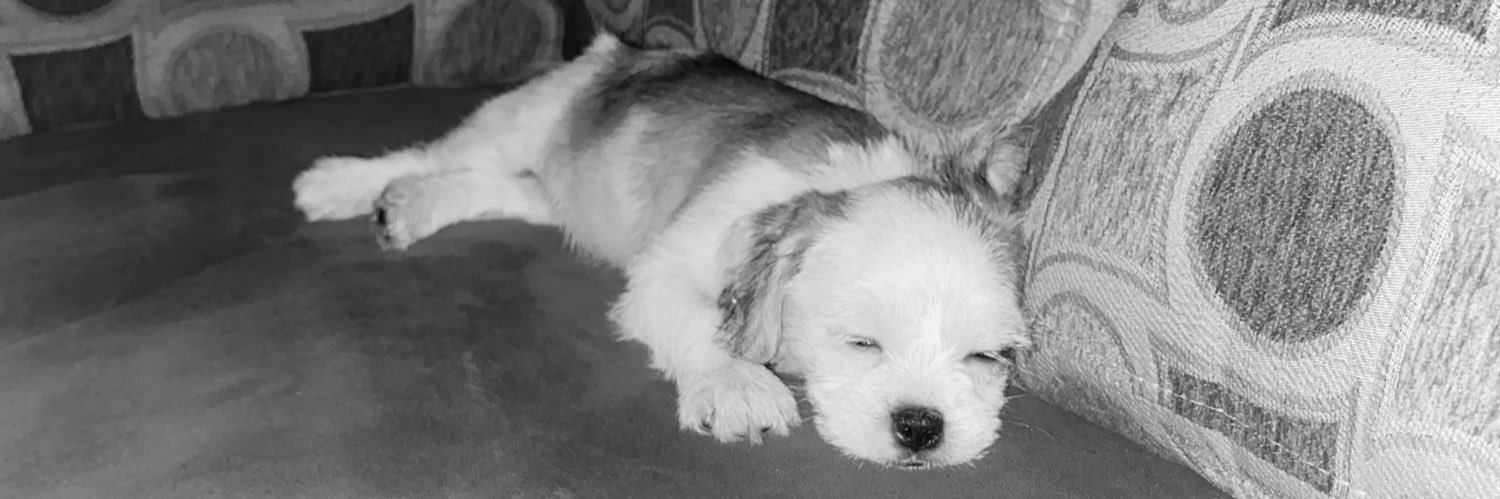 JAMR_001's profile banner image