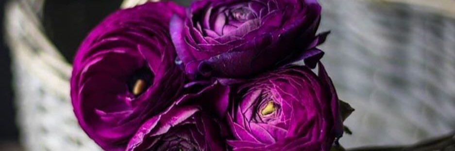 Asdf55782's profile banner image