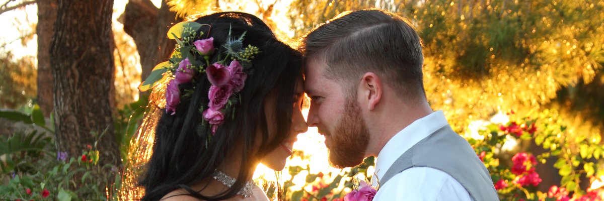 Enchantedexpos's profile banner image