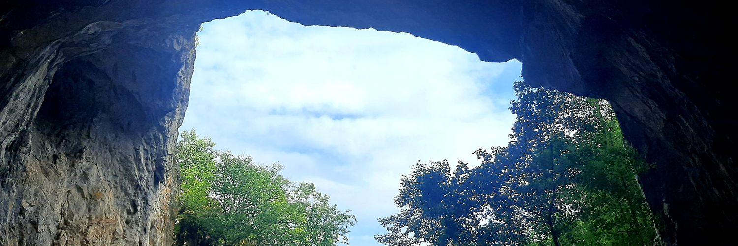 mitric1971's profile banner image