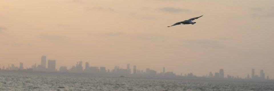 _Bhole_Chature's profile banner image