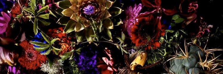 gbachrodt's profile banner image