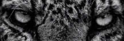 __Kelvin_'s profile banner image