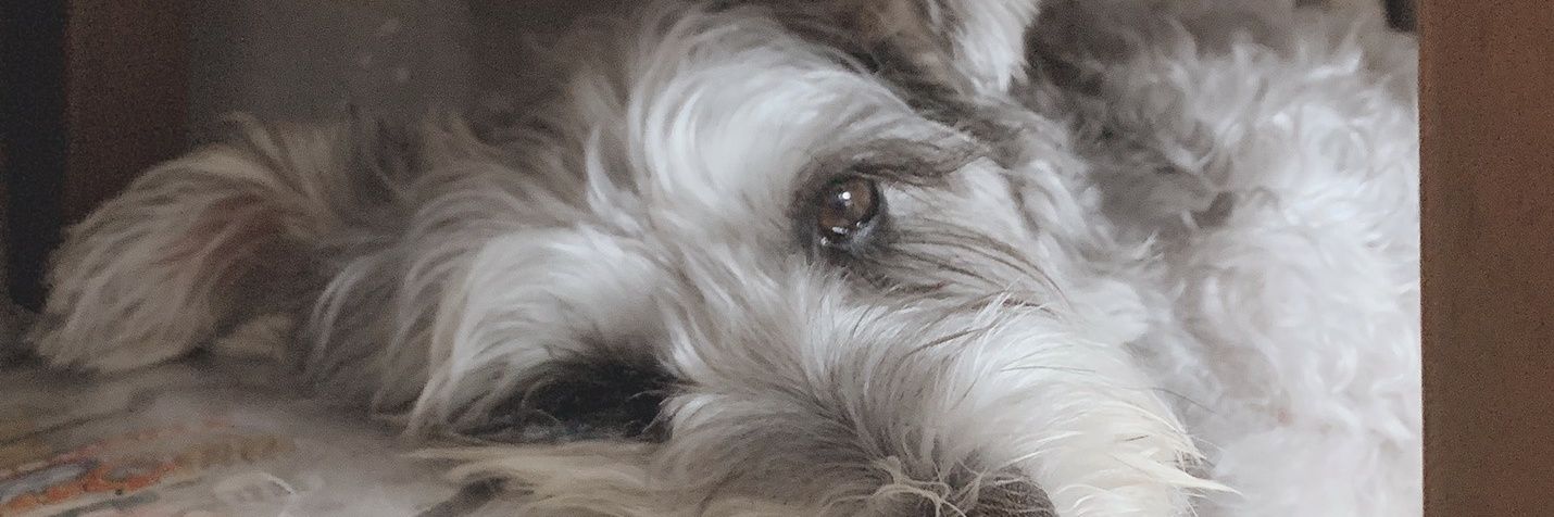 maleft3's profile banner image