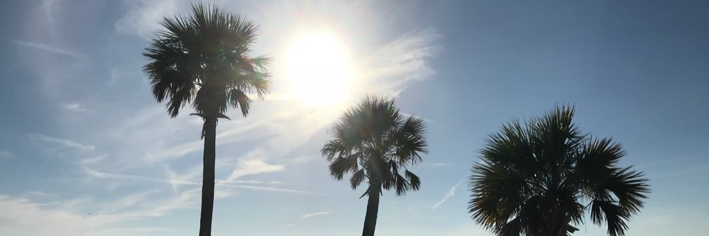 danobrien155's profile banner image