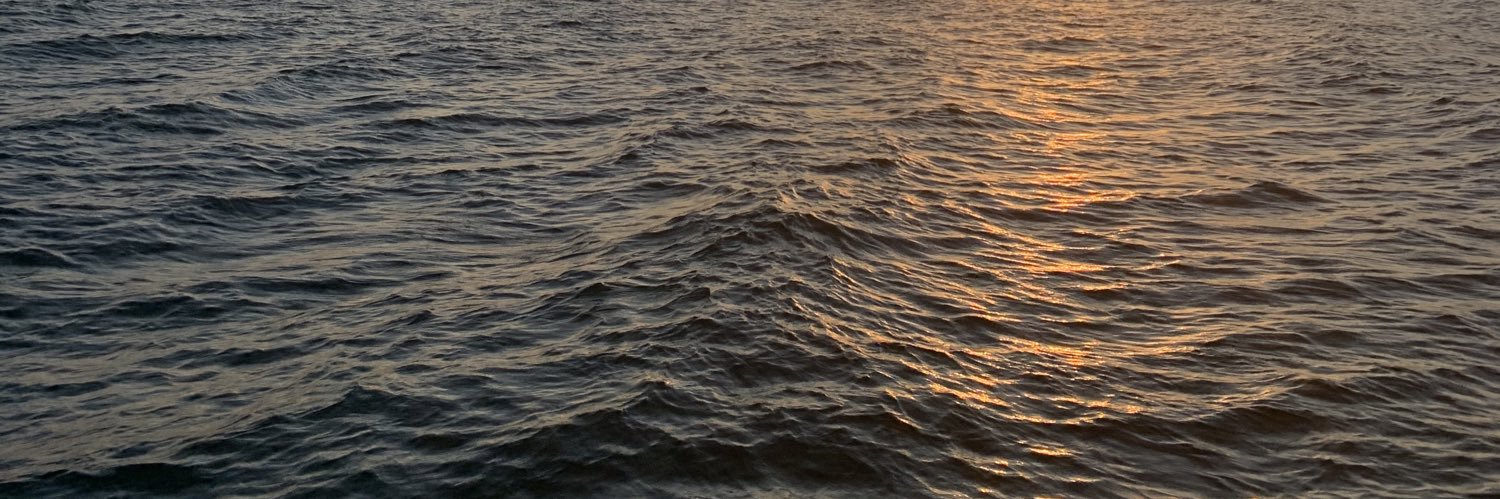 anaistsr's profile banner image
