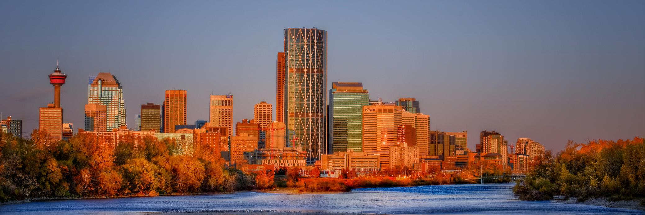myLocalintel's profile banner image