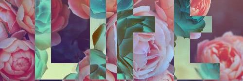Serranopepper11's profile banner image