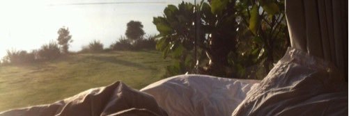Sarahtaah0's profile banner image