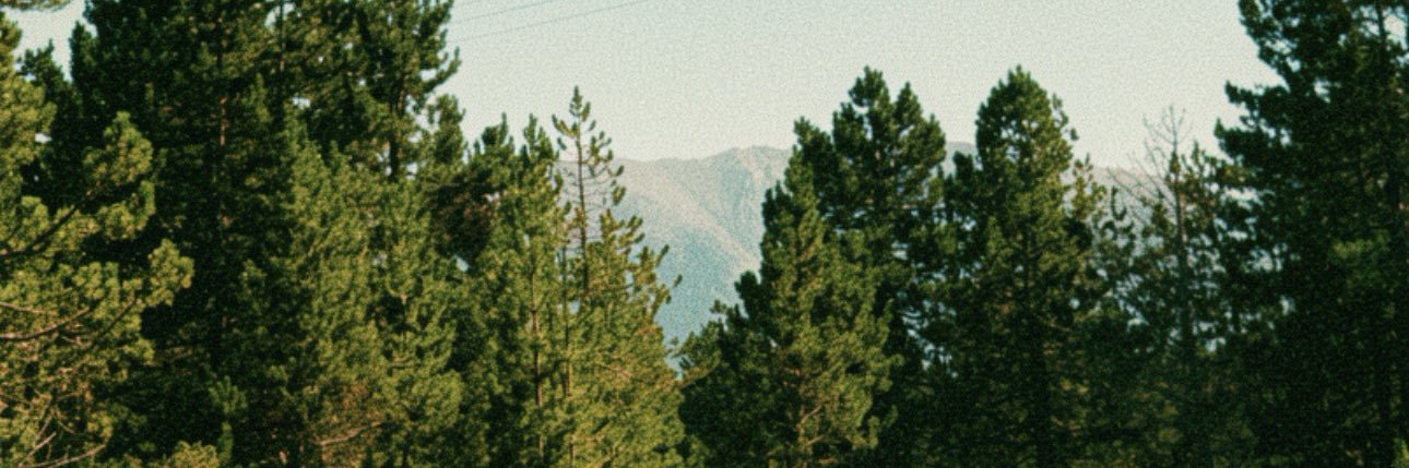 onsmcfen's profile banner image