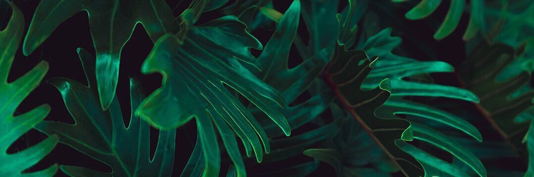aainaaam's profile banner image