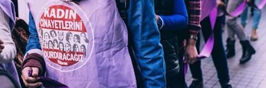 leylacntz's profile banner image