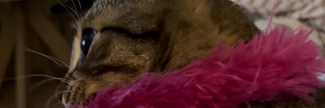 Maitecastilloc's profile banner image