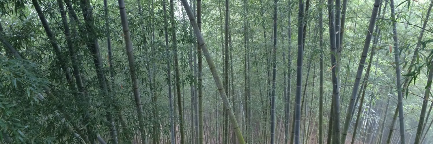 Mathieu Duchâtel banner