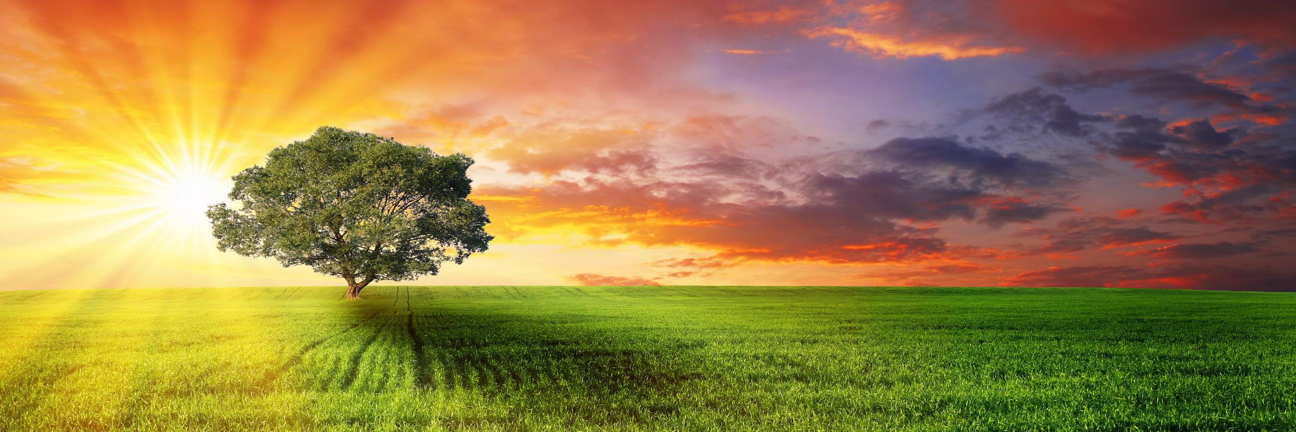 OpenEyesFdn's profile banner image