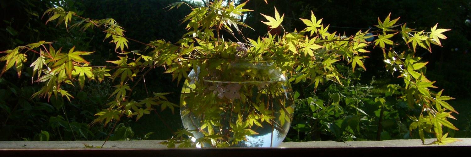 BEAULAT-DEWYNTER banner