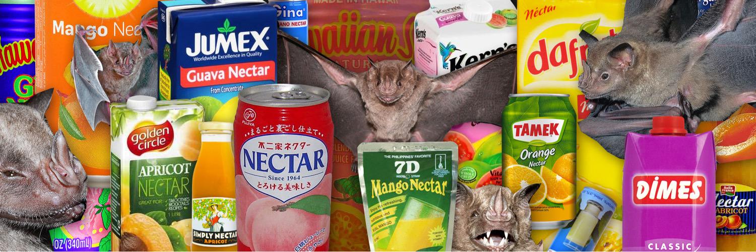 lil bat in your pocket banner