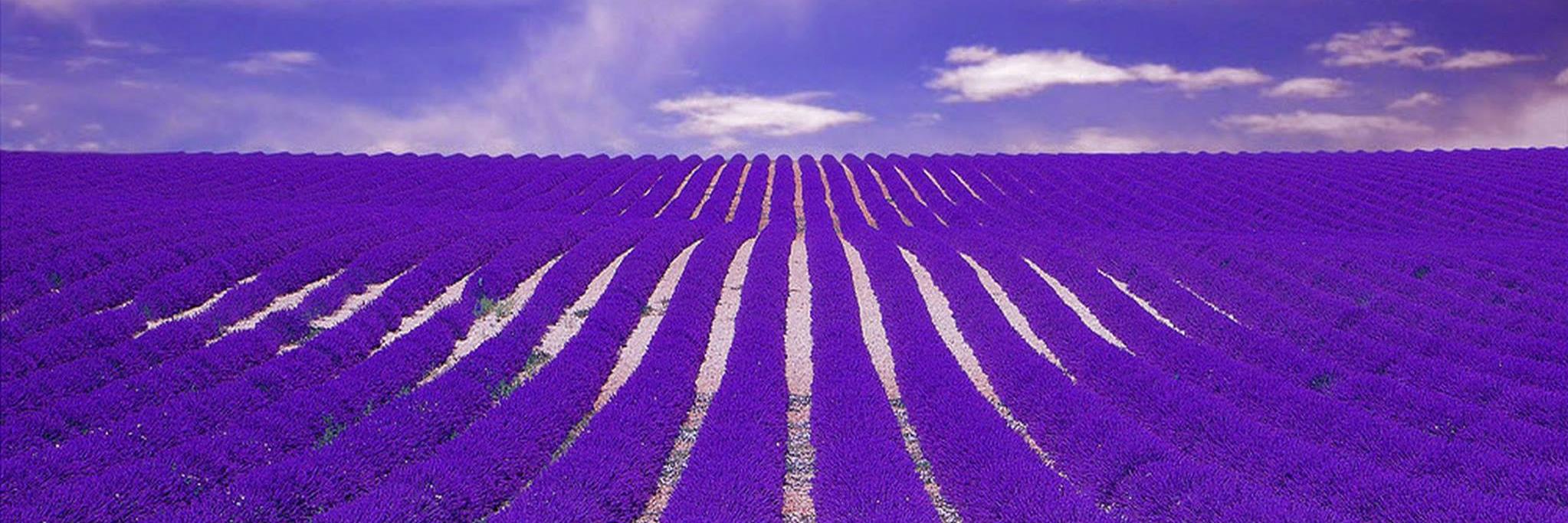 Anne321M's profile banner image