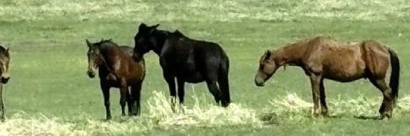 edenpinnick's profile banner image