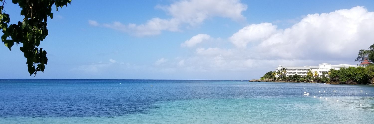 danelewja's profile banner image