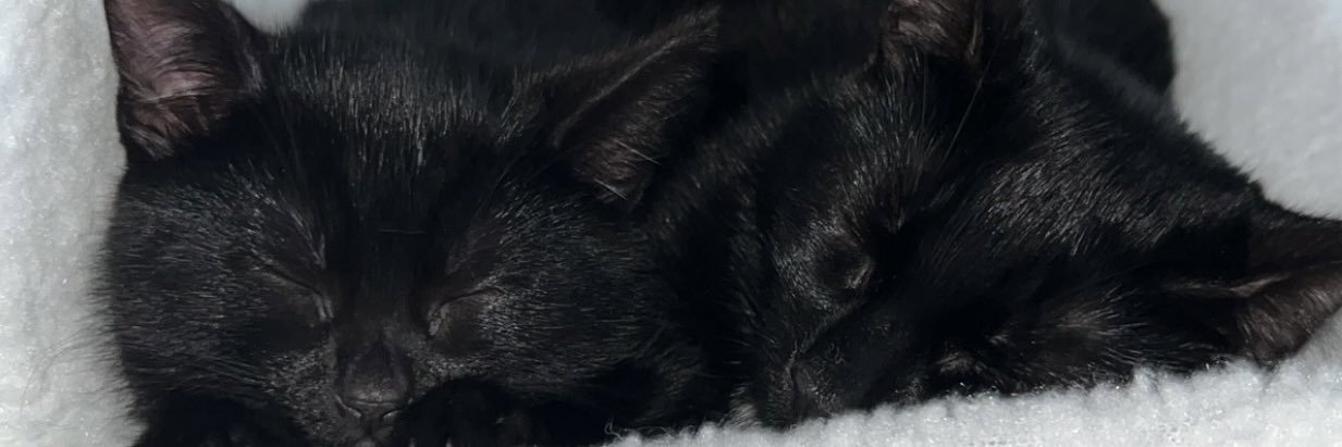 mildakybartaite's profile banner image
