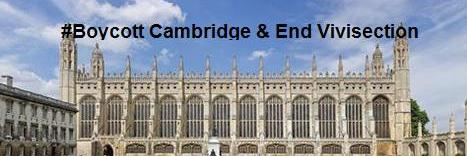 Boycott Cambridge banner